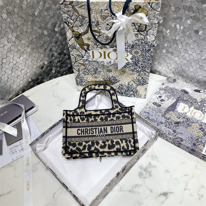 DIOR 디올 미니 북 토트백 M113865 