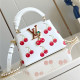 LOUIS VUITTON 루이비통 카푸신 미니 M48865